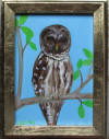 owl