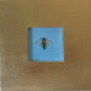 honey bee