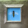 honey bee
