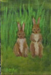 2 brown bunnies