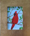 red bird