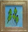 parakeets