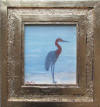 shore bird