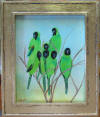 hooded parakeets