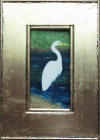 white egret